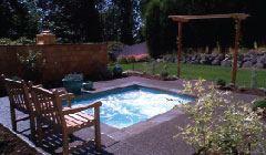 small square pool in a cozy backyard